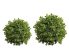 Vintage Buxus Gömb Dekoráció - 23 cm.